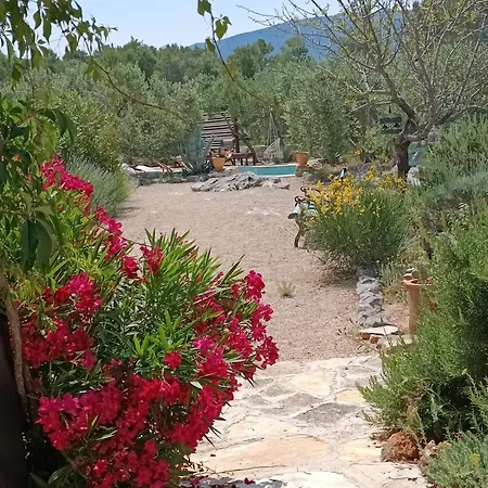 Holiday home Spacious House With Private Pool In Stari Grad (Hvar)