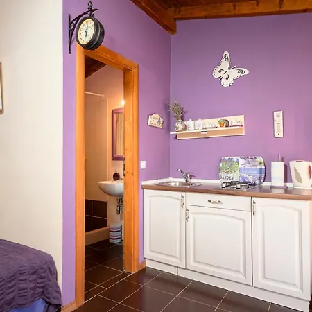 Holiday home Spacious House With Private Pool In