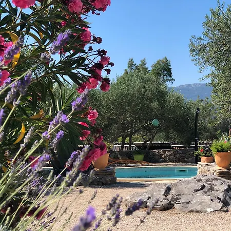 Spacious House With Private Pool In Holiday home *